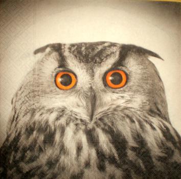 049 Eulen - 3-lagig - Paper Design